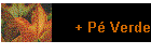 + P Verde