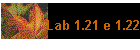 Lab 1.21 e 1.22