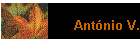 Antnio V.