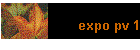 expo pv 1