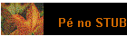 P no STUB