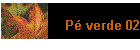 P verde 02