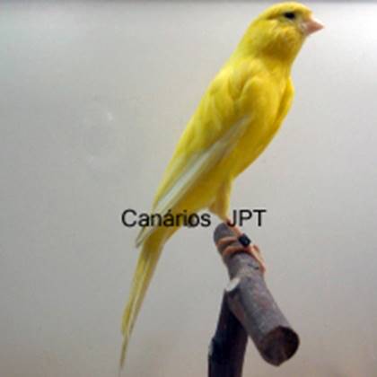 13_49.jpg
