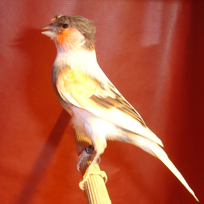 2008_13_670.jpg