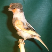 2008_13_1.jpg