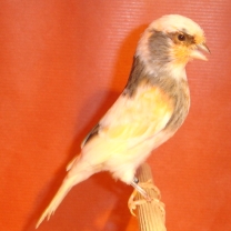 2008_23.jpg