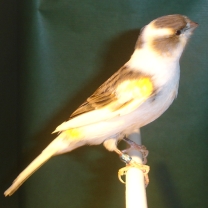2008_04_1.jpg