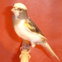 2008_03_2.jpg