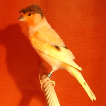 2008_22.jpg