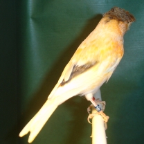 2008_09.jpg