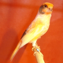2008_06.jpg