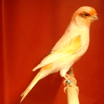 2008_15.jpg