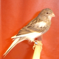 2008_26.jpg