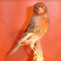 2008_19.jpg