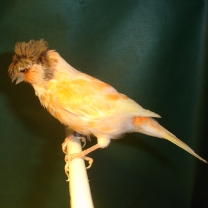2008_12.jpg