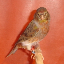 2008_25.jpg
