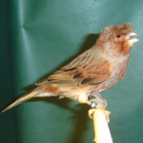 2008_21.jpg