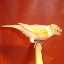 2008_24.jpg