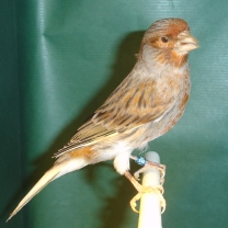 2008_02.jpg