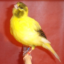 2008_43_2.jpg