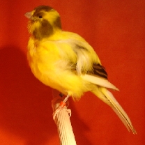 2008_42_1.jpg