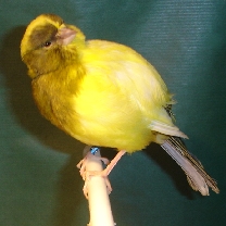 2008_49.jpg