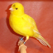 2008_46_2.jpg