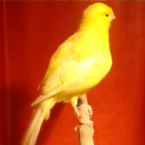 2008_45.jpg