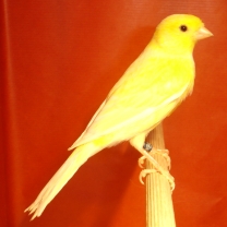 2008_87_3.jpg