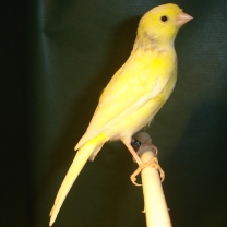 2008_89.jpg