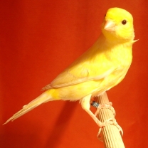 2008_88.jpg
