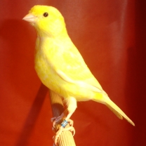 2008_109.jpg