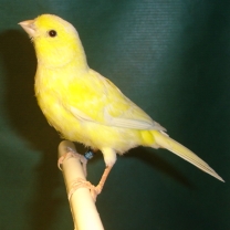 2008_94.jpg