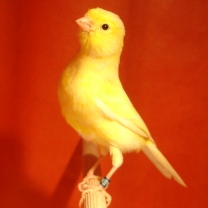 2008_86.jpg