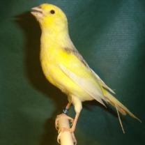 2008_84.jpg