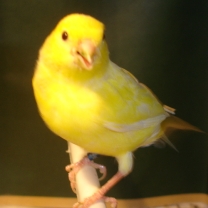 2008_82.jpg
