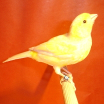 2008_83.jpg