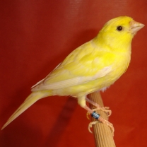 2008_90.jpg