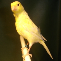 2008_98.jpg