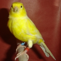 2008_92.jpg