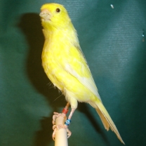 2008_108.jpg