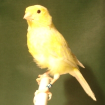 2008_107.jpg