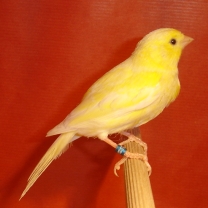 2008_112.jpg
