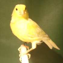 2008_110.jpg