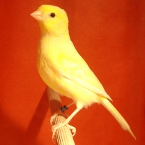 2008_104.jpg
