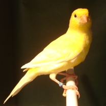 2008_105.jpg