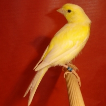 2008_99.jpg