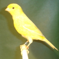 2008_100.jpg