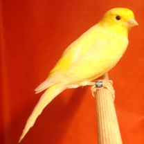 2008_101.jpg