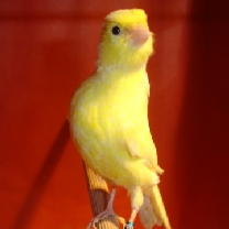 2008_50_2.jpg